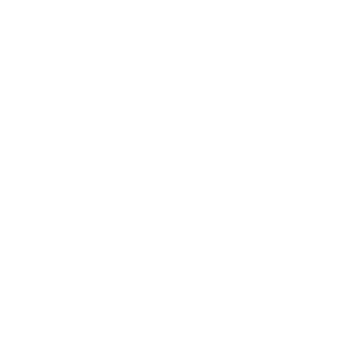 Vagarus
